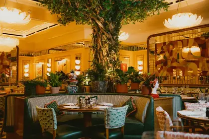 San Carlo 313 1200x800