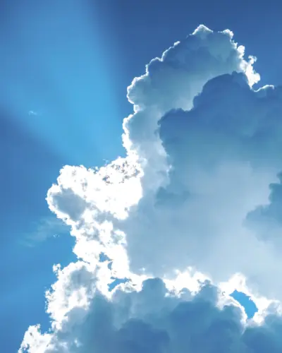 Strategies reports cover arts Portrait