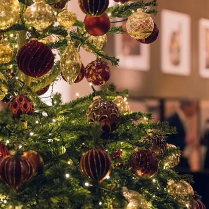 2025 11 25 18 35 42 Holba Christmas 0010