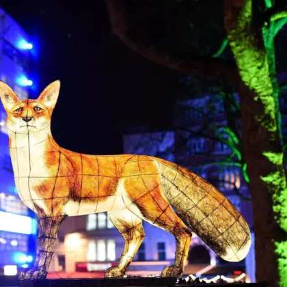 Nightlife 7 Lumiere London 2018 tiny file size